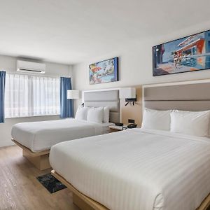 Chambre Premium Lit Queen-Size